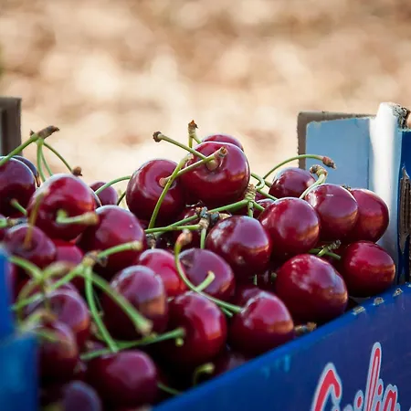 La Ferrovia * Molfetta