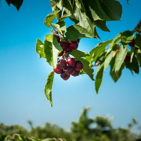 La Ferrovia Alloggio per agriturismo