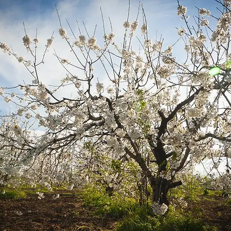 Alloggio per agriturismo La Ferrovia Molfetta