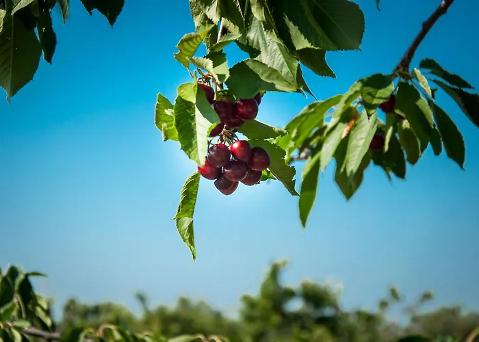 La Ferrovia Bauernhof